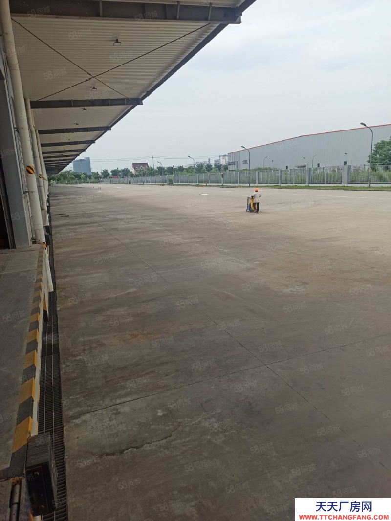 嘉興桐鄉(出租) 30000平方帶月臺倉庫出租