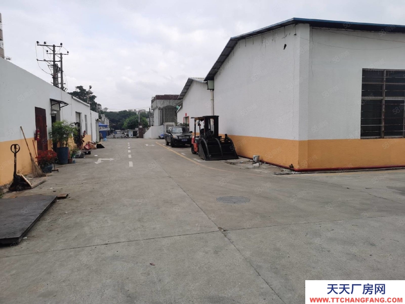 (出租) 深圳石巖紅本獨院鋼構(gòu)2000平一樓廠房出租物流倉庫帶卸貨平臺分租