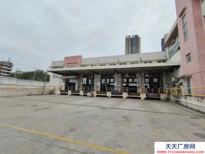 (出租) 深圳石巖紅本獨院鋼構5000平一樓廠房出租物流倉庫帶卸貨平臺分租