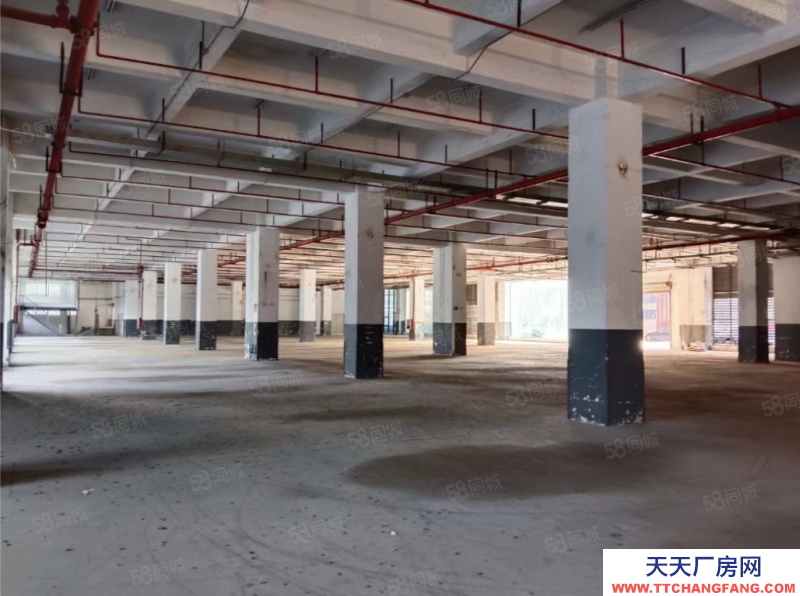 (出租) 深圳西鄉(xiāng)一樓廠房倉庫5000平層高6米交通便利停車方便近高速口