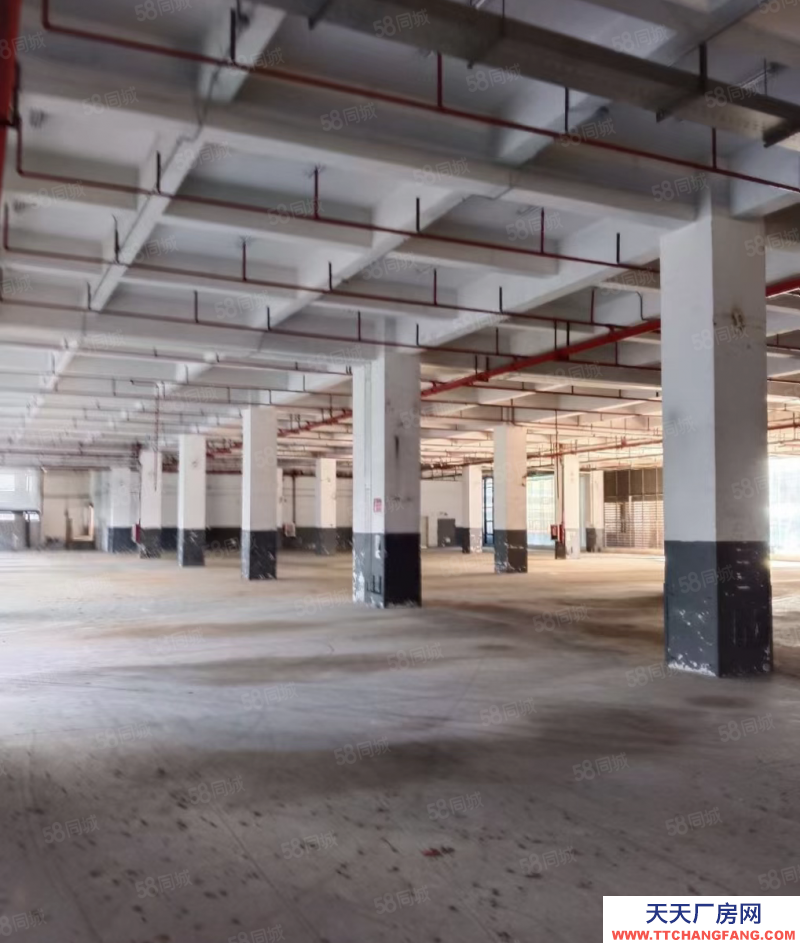 (出租) 深圳西鄉(xiāng)一樓廠房倉庫5000平層高6米交通便利停車方便近高速口