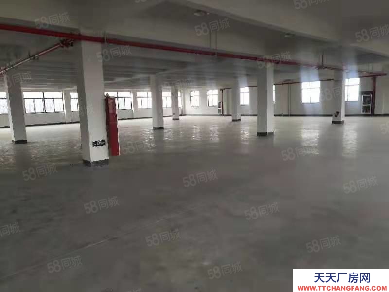 嘉興桐鄉(出租) 屠甸12000平米倉庫低價出租，具體面議