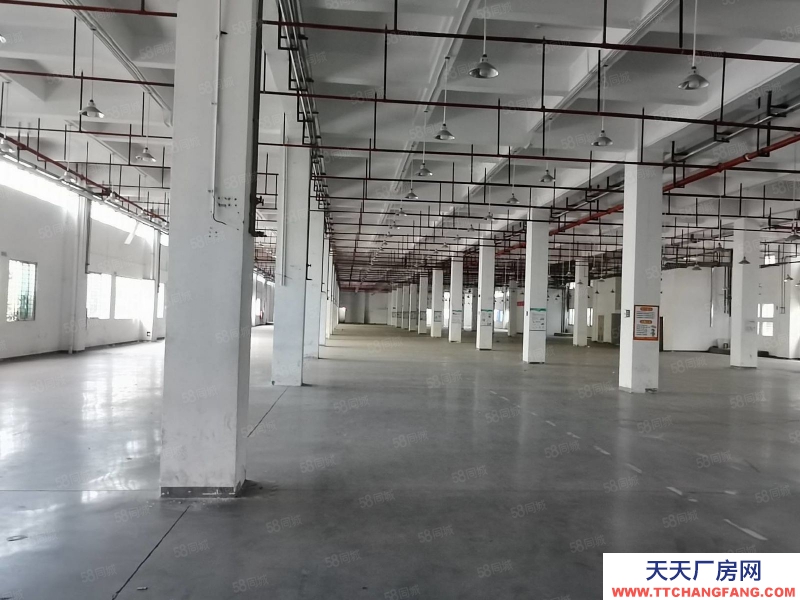 (出租) 深圳福永新和下十圍交界新出30000平米辦公貿易物流倉庫廠房出租