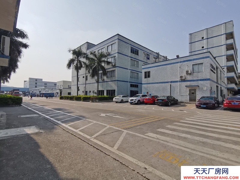 (出租) 深圳沙井共和一樓1000平倉庫出租200平起分租空地大掛車可掉頭