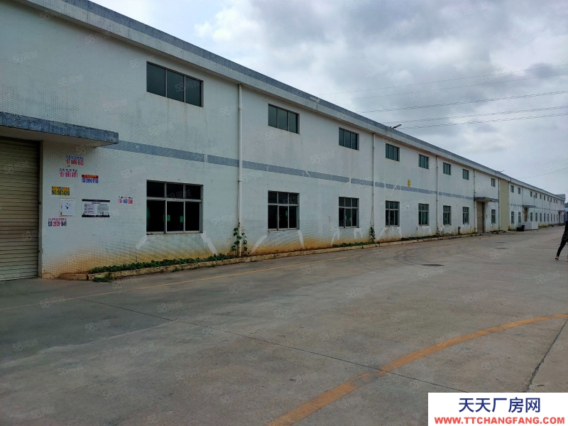 (出租) 深圳低價松崗廠房倉庫出租原房東高速口12米鋼構5000平大小分租