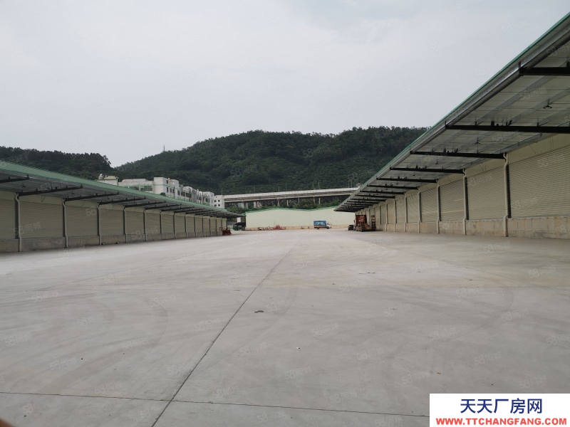 (出租) 深圳福永機場附近新出物流廠房20000平米可分租