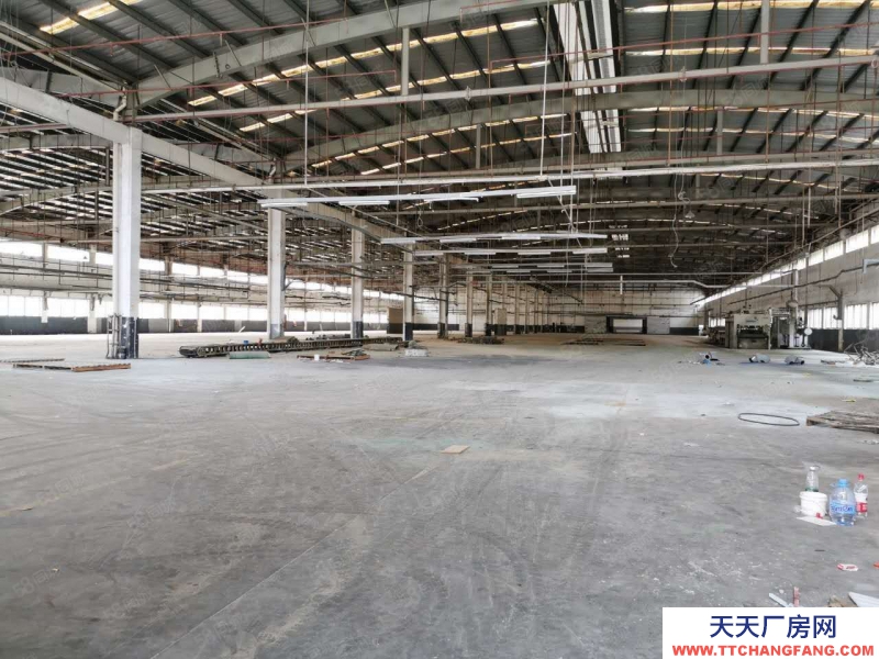 (出租) 深圳福永原房東紅本單一層鋼構滴水8米高30000平方出租大小分租