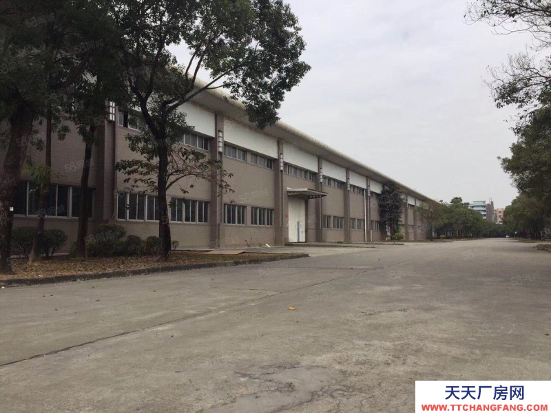 (出租) 深圳福永原房東紅本單一層鋼構滴水8米高30000平方出租大小分租