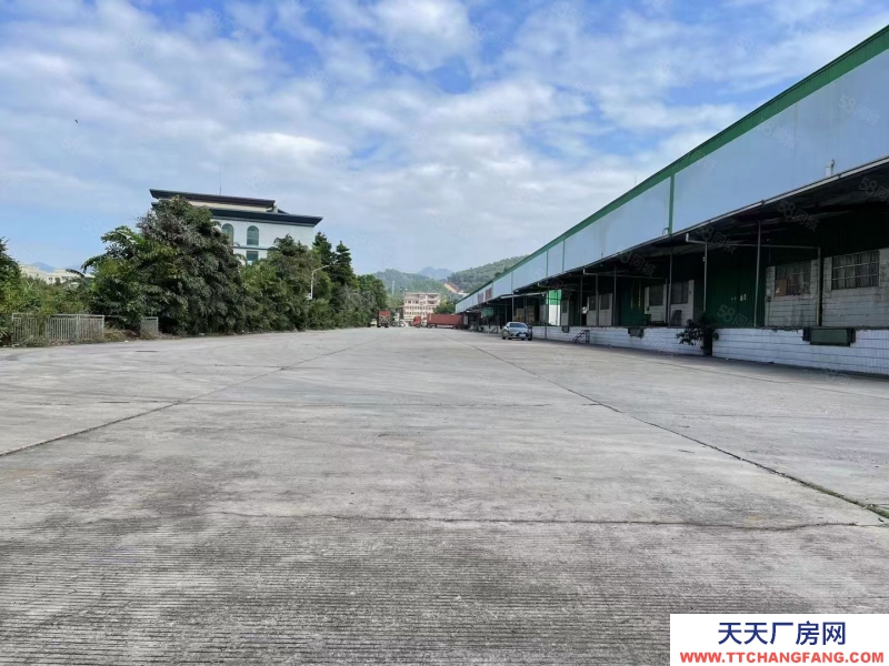 (出租) 深圳標(biāo)準(zhǔn)高臺庫，裝卸平臺，丙二類消防噴淋，可分租