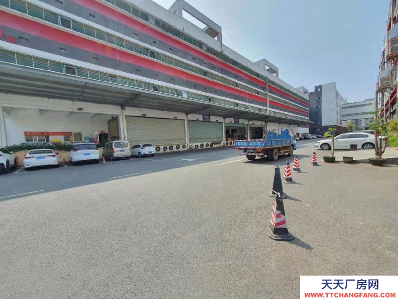 (出租) 深圳龍崗比亞迪附近大型產(chǎn)業(yè)園3000平電商倉儲(chǔ)倉庫廠房出租可分租