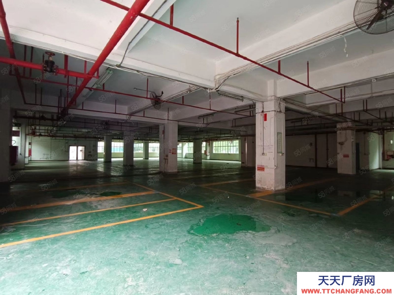 (出租) 深圳3000平方一樓物流倉庫近高速地鐵口出租(可做重工業(yè)廠房)