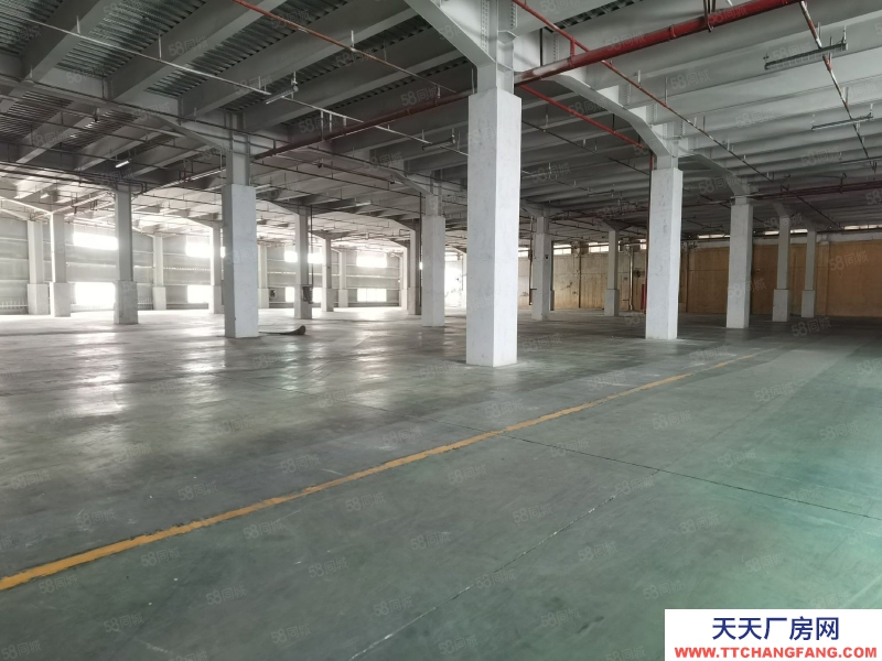 (出租) 深圳雙邊庫，標準卸貨臺，丙二類，可配套貨架立體庫