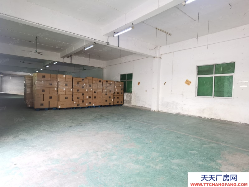 (出租) 深圳原房東出租，標準樓層倉，一樓帶卸貨臺，2樓兩噸電梯