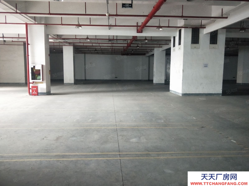 (出租) 深圳貨物代管代發,市內派送,集貨裝柜