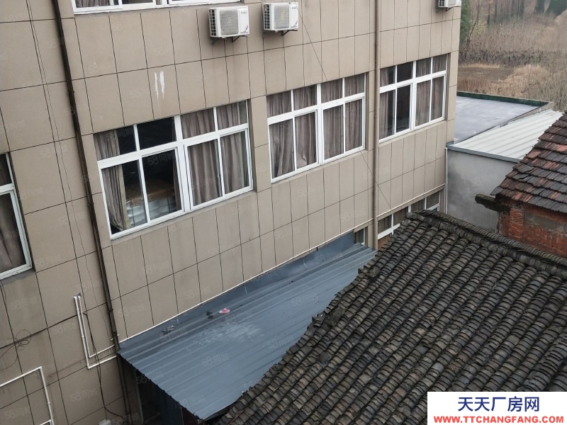 嘉興桐鄉(xiāng)(出售) 獨(dú)門獨(dú)院廠房，交通方便，院子場地大