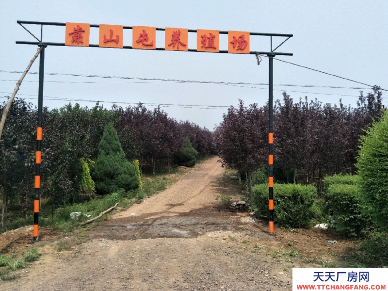 (出售) 錦州義縣留龍溝養殖場26680平米