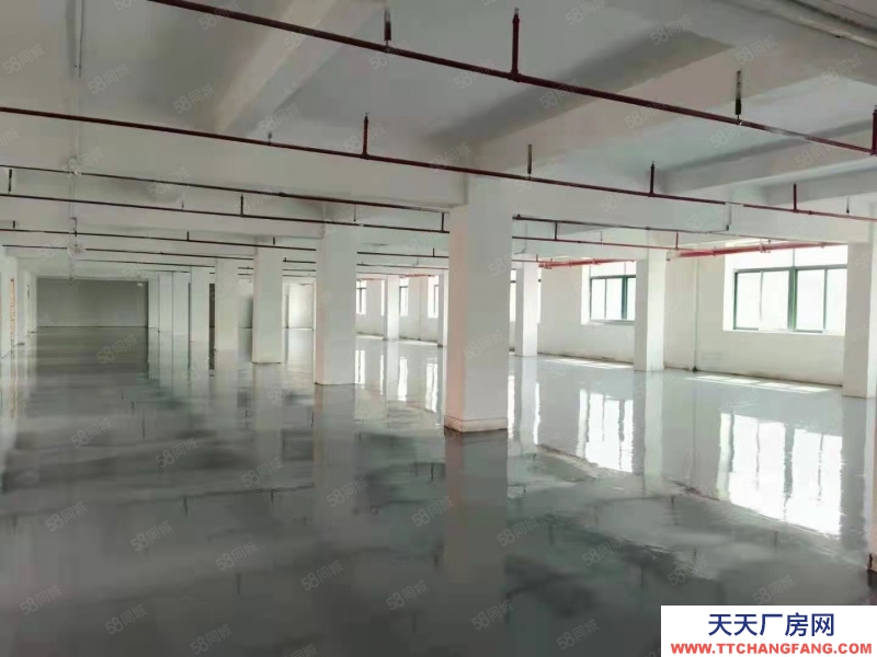 (出租) 羅湖布心工業區一二樓小面積倉庫出租100平至800平