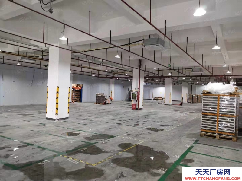 (出租) 直租深圳恒溫或普通倉庫1至500平米1天起租整租分租