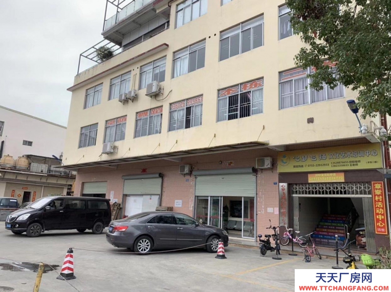 (出租) 羅湖清水河物流園冷凍、冷藏倉庫,可分租,可以打包