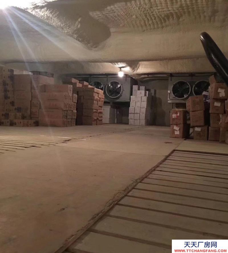 (出租) 羅湖清水河物流園冷凍、冷藏倉庫，可分租，可以打包