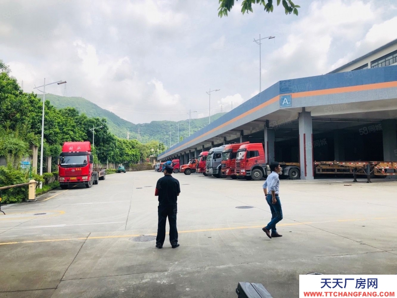 (出租) 深圳鹽田東海道13000平高標物流倉庫出租，2000平起分