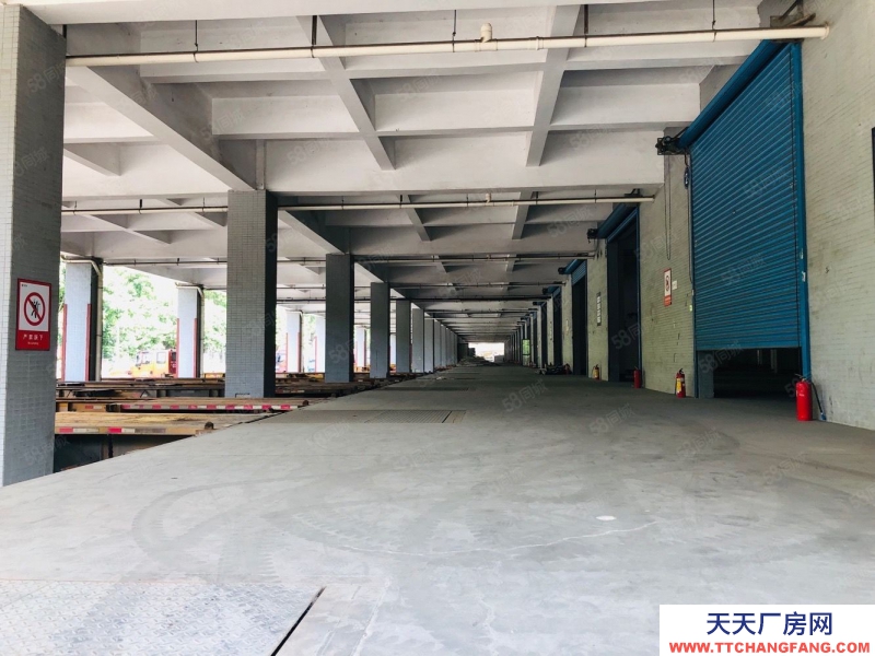 (出租) 深圳鹽田東海道13000平高標物流倉庫出租,2000平起分