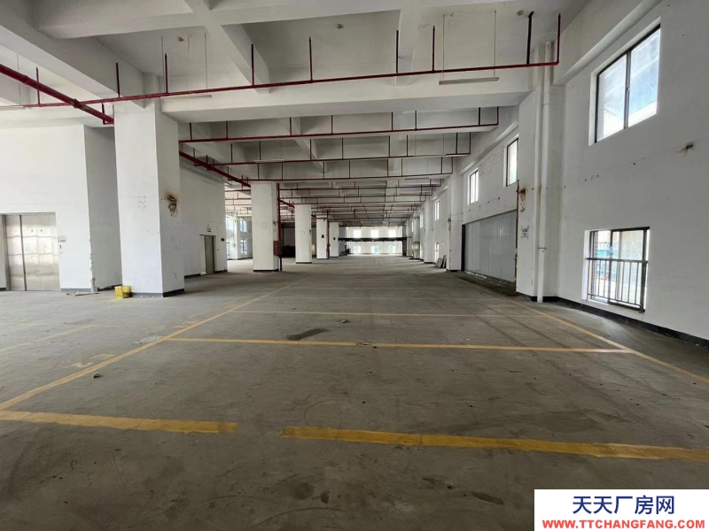 （出租）深圳市鹽田區房東直租非中介