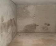 (出租) 庫門就在馬路邊，可進車可存貨，開麻將館等都挺適合。