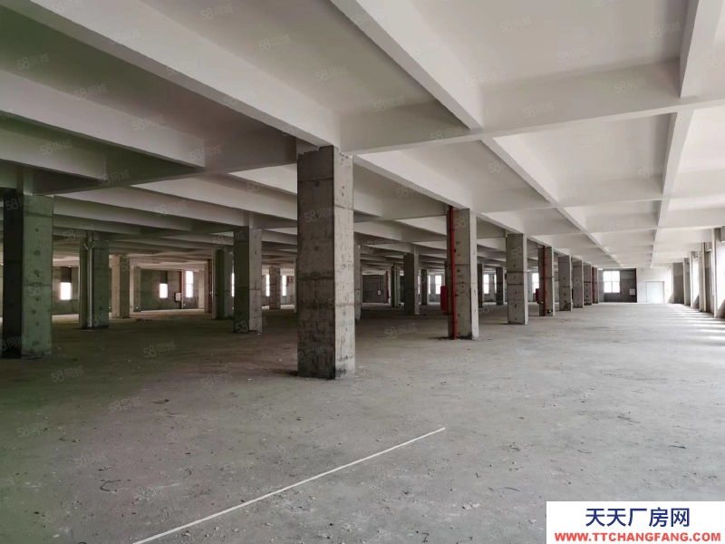 (出租) 珠海斗門誠(chéng)豐優(yōu)品預(yù)制菜產(chǎn)業(yè)園甲方直租條件優(yōu)惠