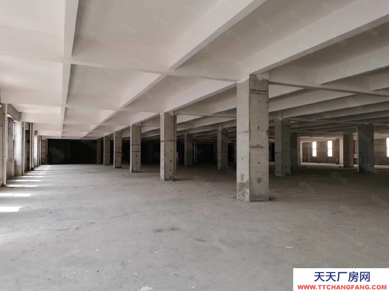 (出租) 珠海斗門誠豐優(yōu)品預(yù)制菜產(chǎn)業(yè)園甲方直租條件優(yōu)惠