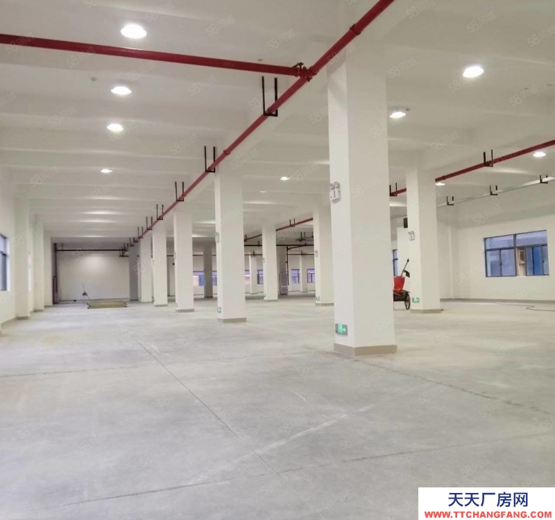 (出租) 珠海直租井岸鎮(zhèn)全新2680平方廠房，大小可分租