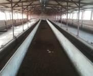 (出租) 能養100頭牛啥都放便，有住人的房子，