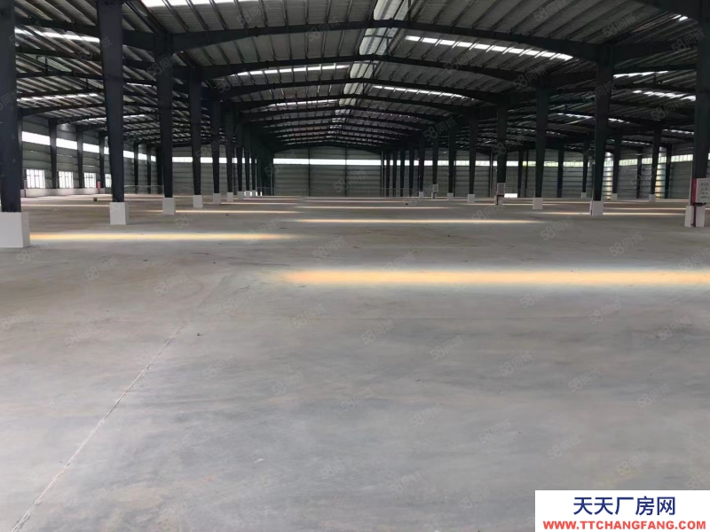 (出租) 珠海金灣5000~9800~35000平單一層鋼廠房,層高10米