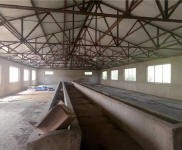 (出租) 樺皮廠金崗村大型養殖場土地出租出售