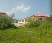 (出租) 樺皮廠金崗村大型養殖場土地出租出售