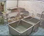 (出售) 琿春北街三道嶺子村平房出售