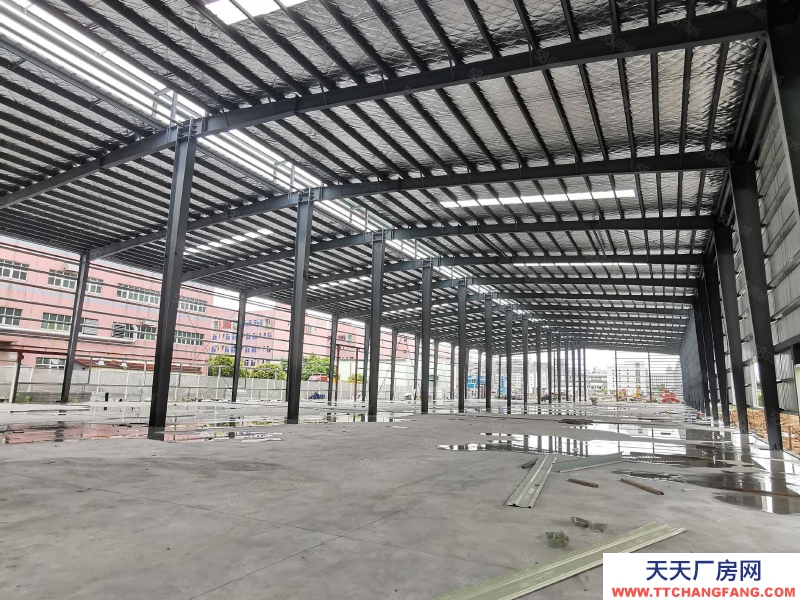 (出租) 珠海小林獨院5千~16000平全新鋼構，層高12米，適合機械五金