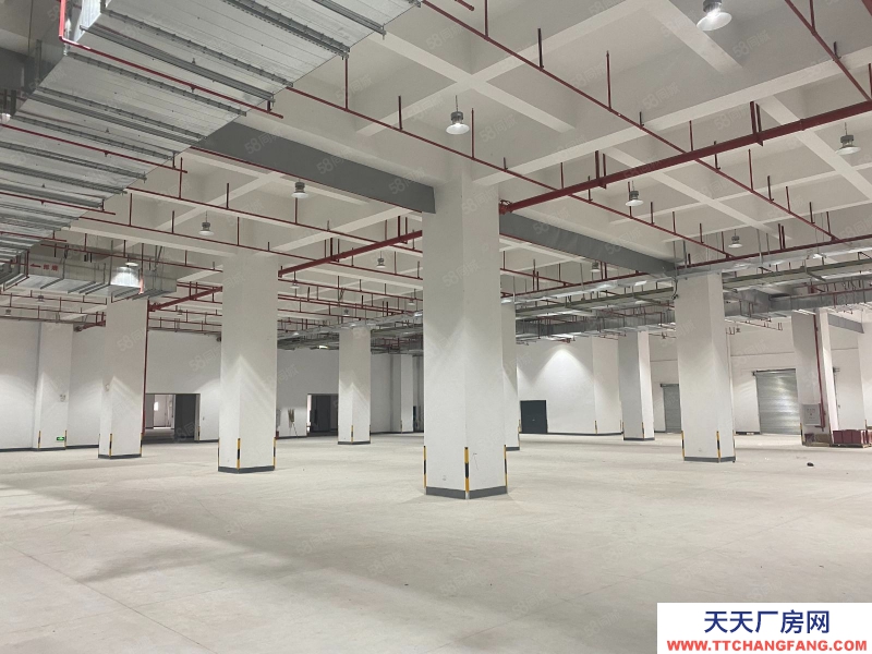 (出租) 珠海國企正方系廠房倉庫出租,符合大部分物理條件,物流便利