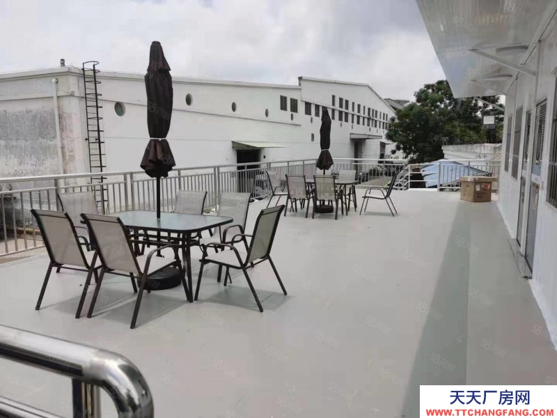 (出租) 珠海南屏科技園6.5米層高廠房超寬裝卸平臺物流倉庫直租近華發商都