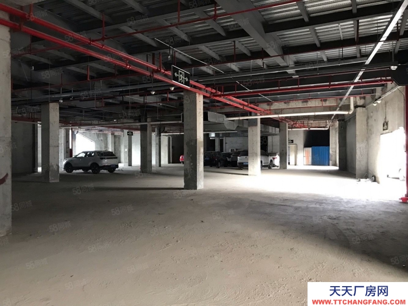 (出租) 珠海直租5000平方停車場或倉庫 招租 可以分租 停車位充足