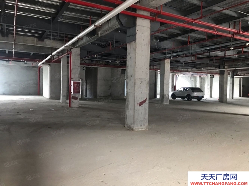 (出租) 珠海直租5000平方停車場或倉庫 招租 可以分租 停車位充足