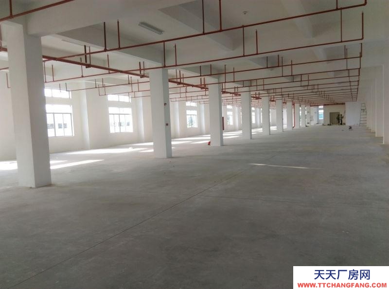 (出租) 珠海出租香洲南屏百安物流園倉庫