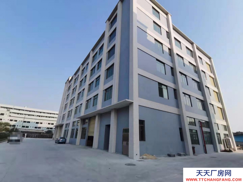 (出租) 珠海超低價(jià)出租白蕉開(kāi)發(fā)區(qū)神灣2萬(wàn)平米廠房倉(cāng)庫(kù)、配5000平冷鏈倉(cāng)。