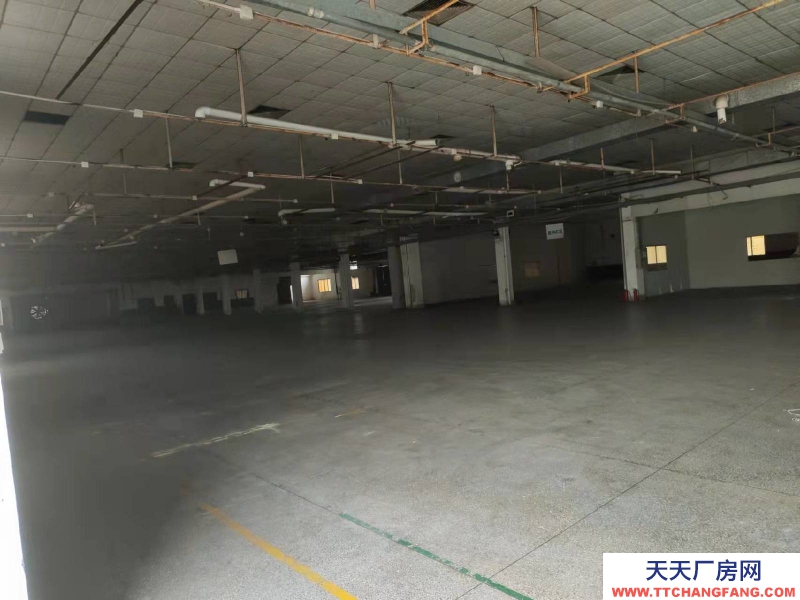 (出租) 珠海金灣區獨門獨院3000平方單一層倉庫出租可做生產