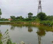 (出租) 龍?zhí)秴^(qū)龍興村三隊(duì)廠房養(yǎng)殖場(chǎng)出租