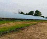 (出租) 龍潭區龍興村三隊廠房養殖場出租