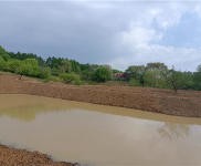 (出租) 龍潭區平房土地魚塘果園出租出售