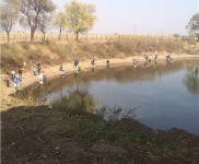 (出售) 龍?zhí)秴^(qū)江北鄉(xiāng)大屯村山莊、別墅、土地出售