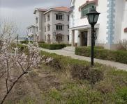 (出售) 龍?zhí)秴^(qū)江北鄉(xiāng)大屯村山莊、別墅、土地出售