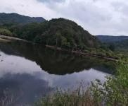 (出售) 廠房出售 農(nóng)家院山莊土地廠房出租出售